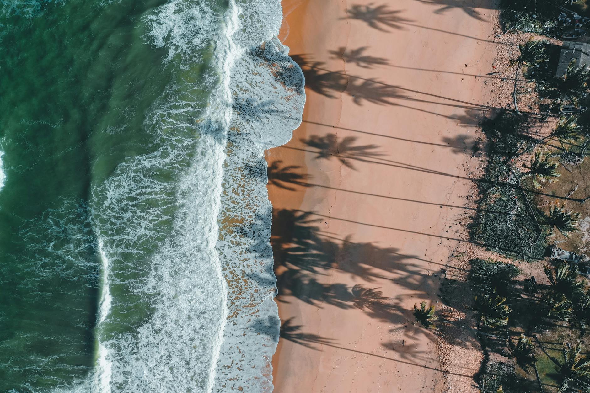 sea foam and palm tree shadows casted on a sand beach